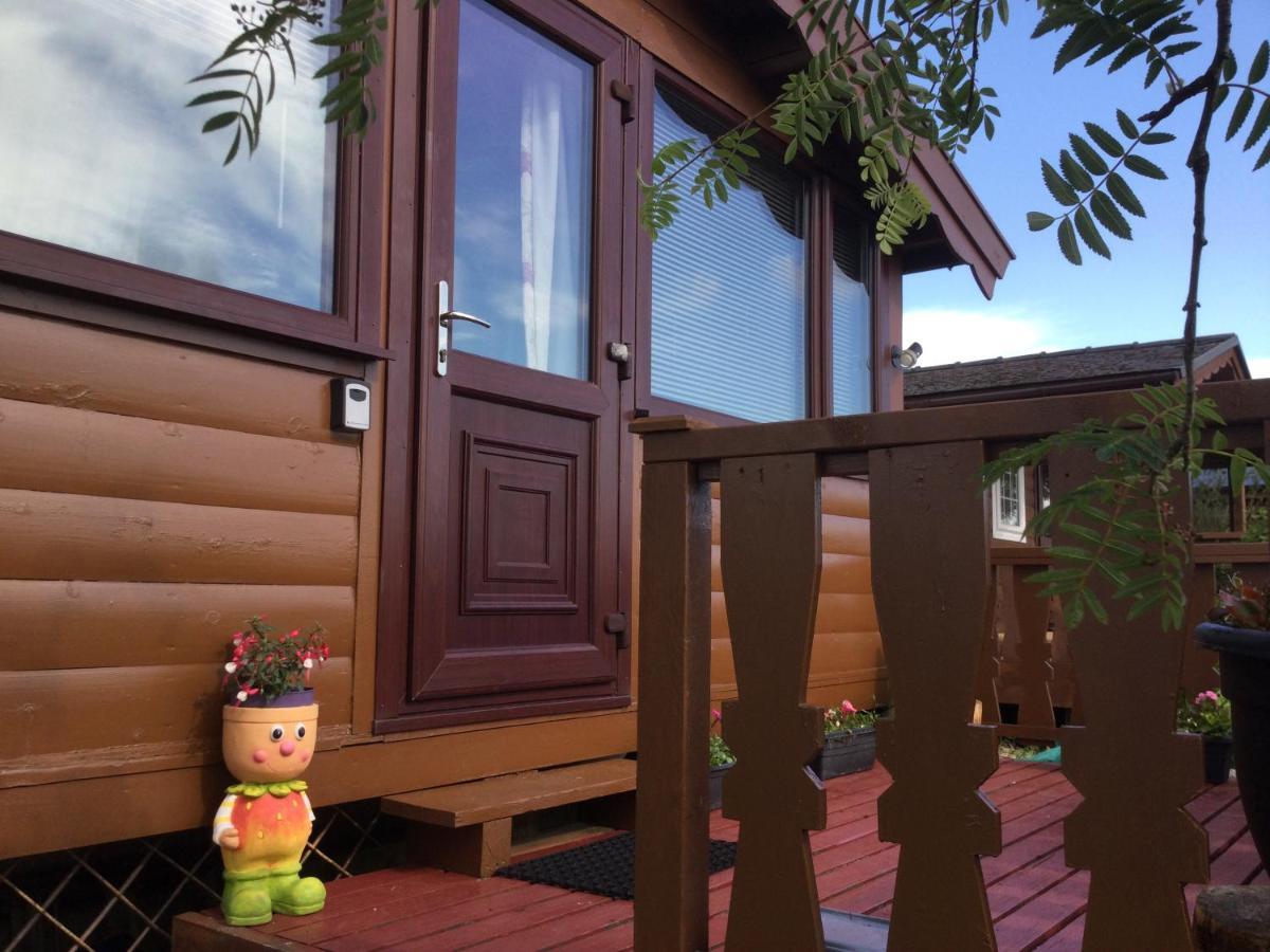 Snowdonia National Park Log Cabin With Garden Trawsfynydd 외부 사진