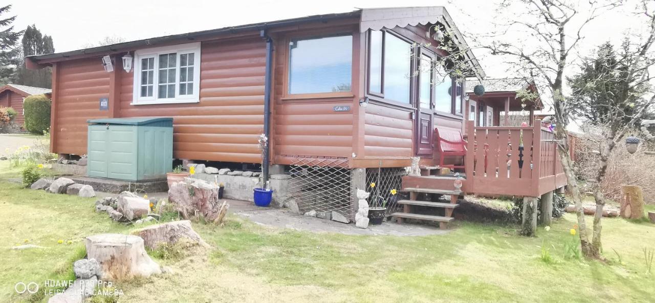 Snowdonia National Park Log Cabin With Garden Trawsfynydd 외부 사진